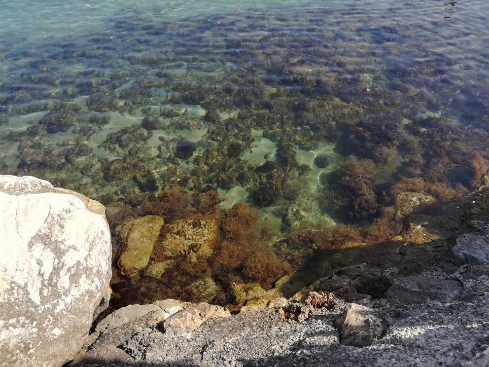 Bagno Gorgona-Marina di Pisa必去景点