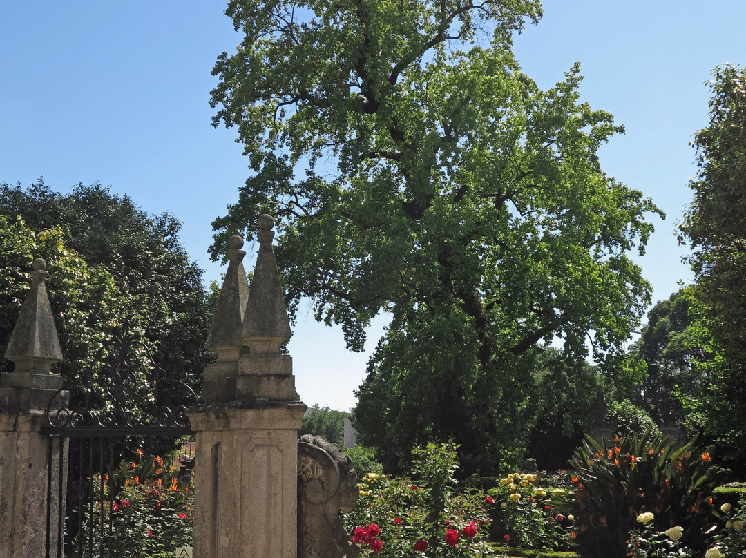 Jardins da Casa dos Biscaínhos景点图片