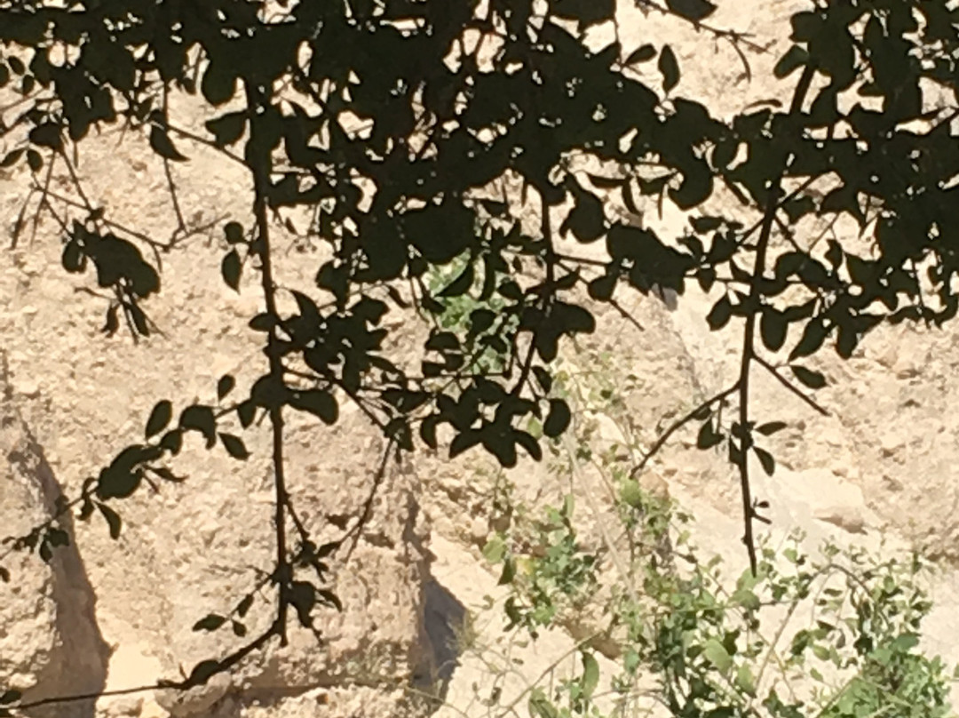 Merom Golan Resort主图