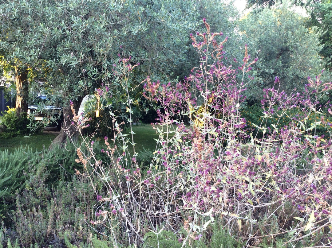 Mothuq Garden - House主图