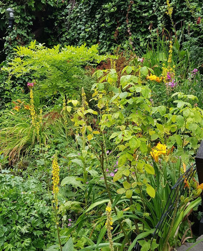 Gondershausen旅游攻略图片