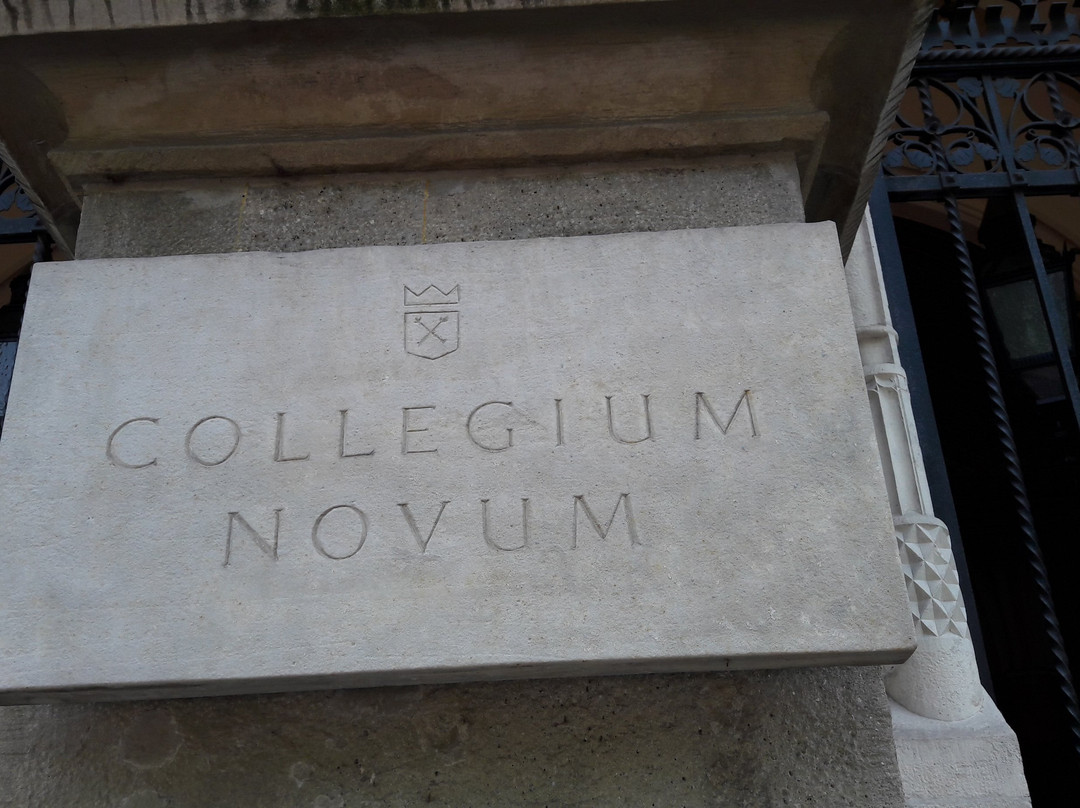 Jagiellonian University Museum Collegium  Maius景点图片