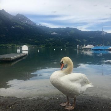 诺伊豪斯高尔夫及斯特兰德酒店-浴室