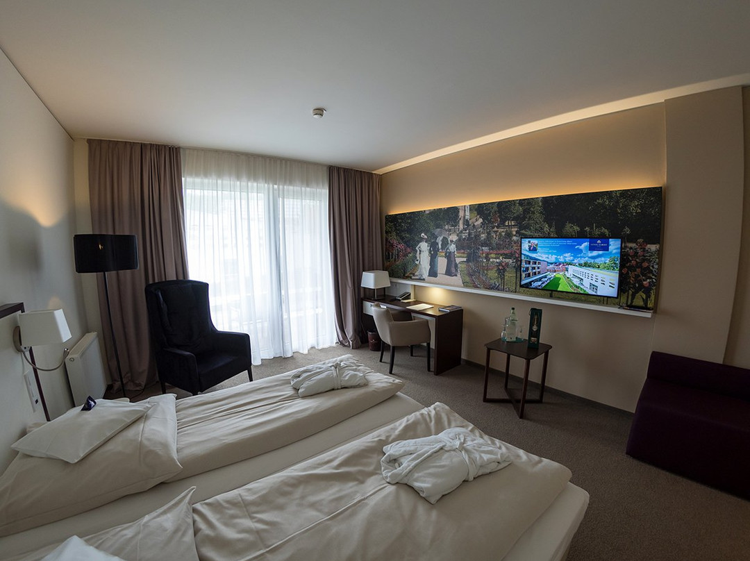 Hotel Konig Albert主图