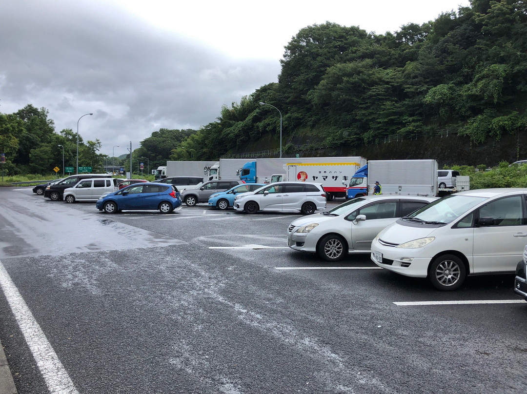 Oiso Parking Area Inbound-大矶町必去景点
