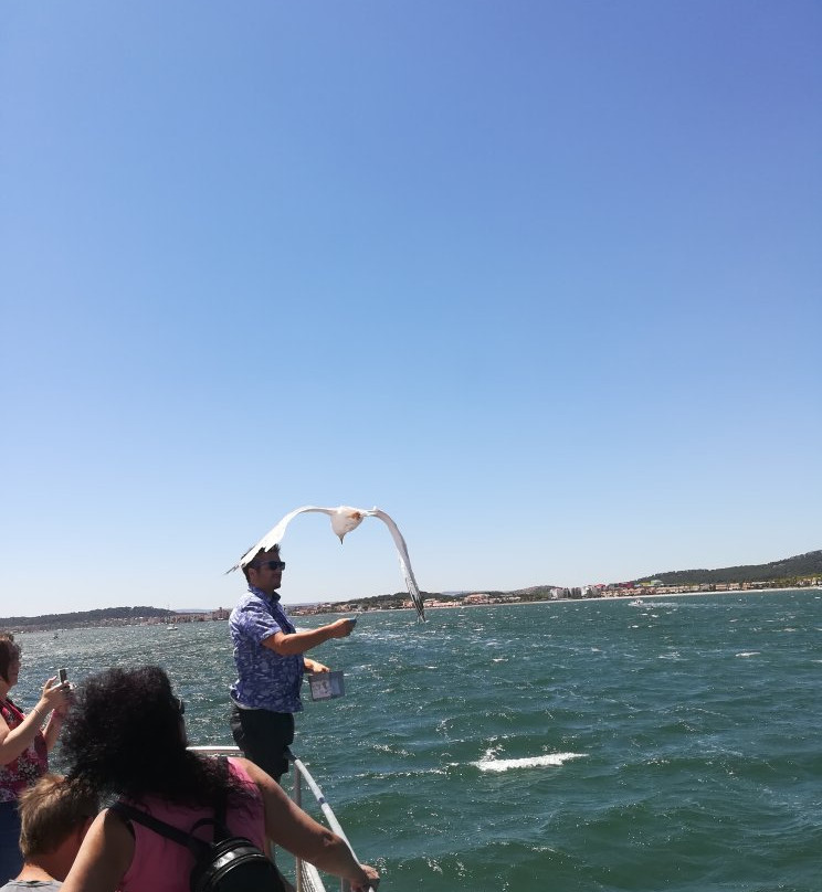 Catamaran Port Grusan-Gruissan必去景点