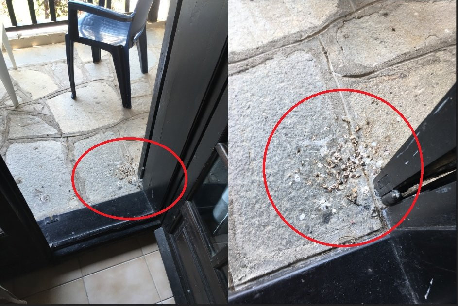 Bellagio Hotel主图