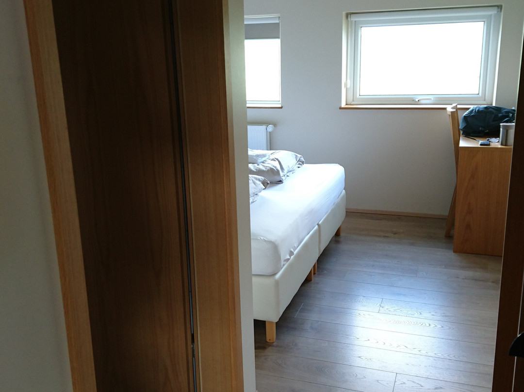 Guesthouse Svinavatn主图