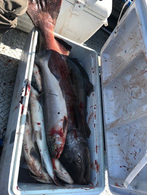 AK eXpeditions-Chitina必去景点