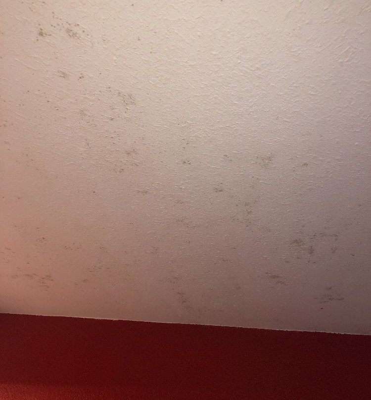 Clarion Inn & Suites Russellville I-40主图