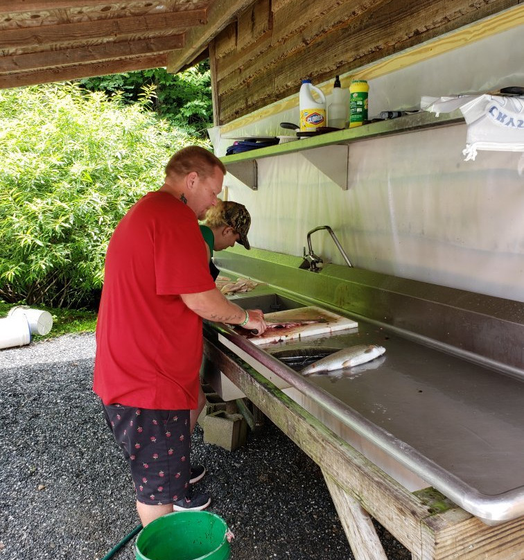 Cooper Creek Trout Farm & Pond景点图片
