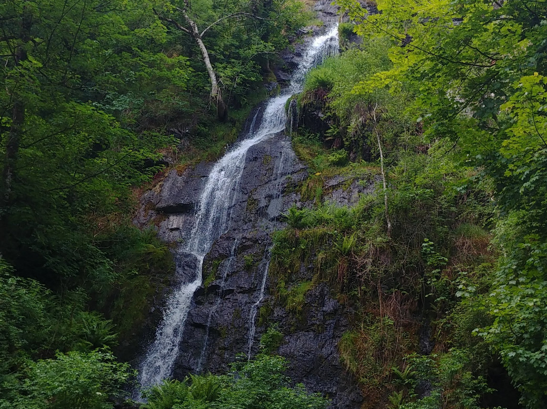 Canonteign Falls景点图片