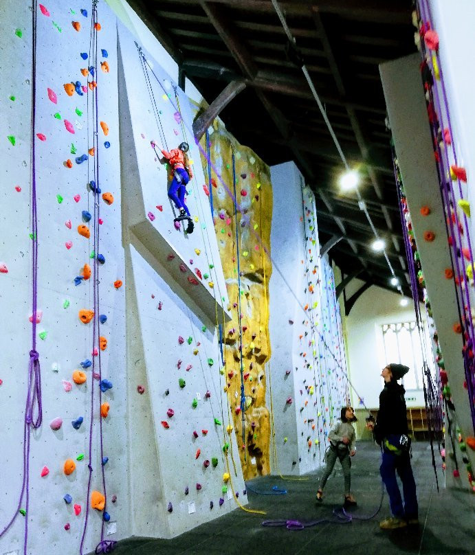 Newcastle Climbing Centre-纽卡斯尔必去景点