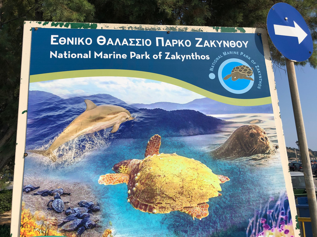 National Marine Park of Zakynthos景点图片