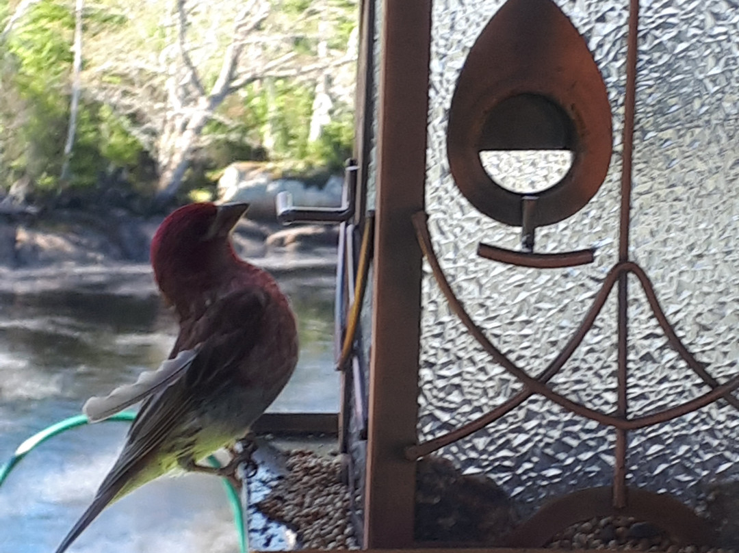 Liscombe Lodge Resort and Conference Center主图