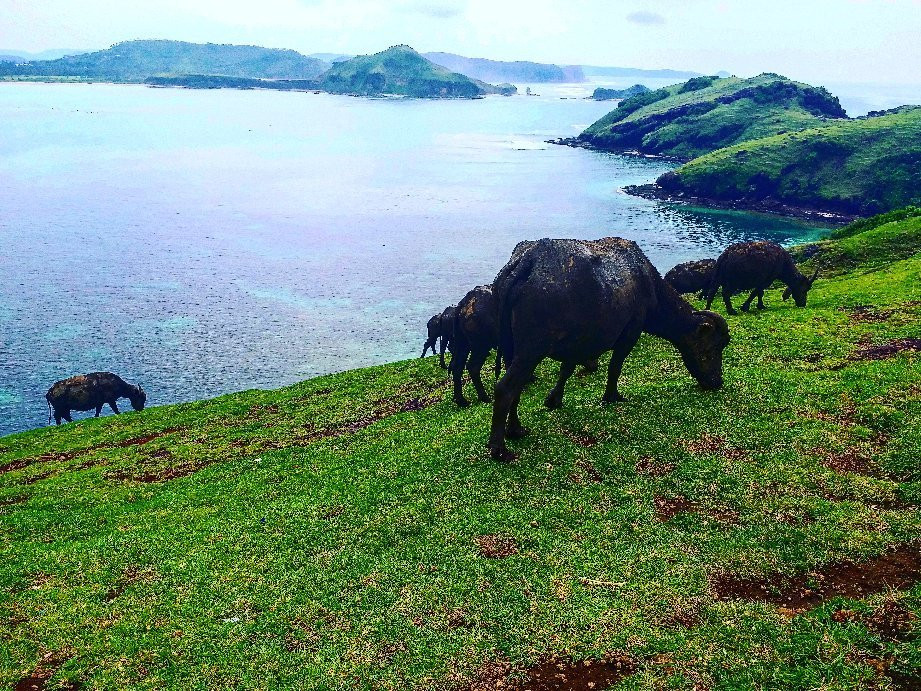 Lombok Green Holidays-Senggigi必去景点