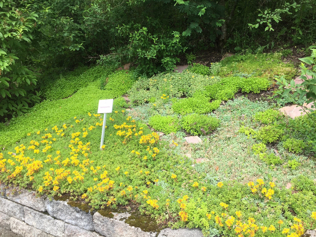 Kräuterpark景点图片