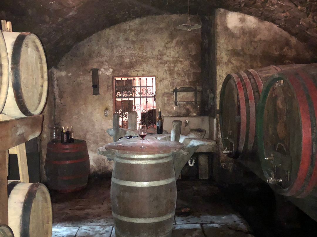 The Wine House Rondic-Slap必去景点