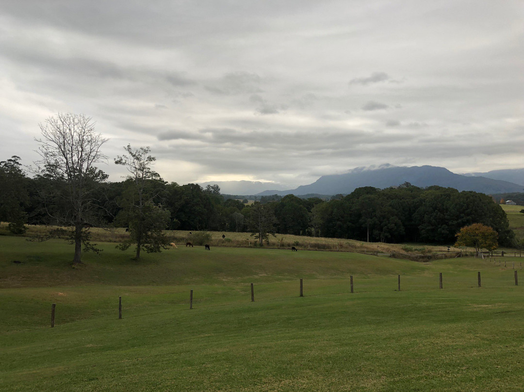 The Lodge Bellingen主图