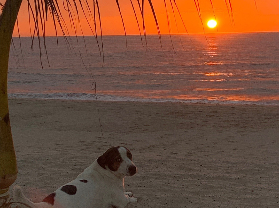 Canoas de Punta Sal Bungalows主图