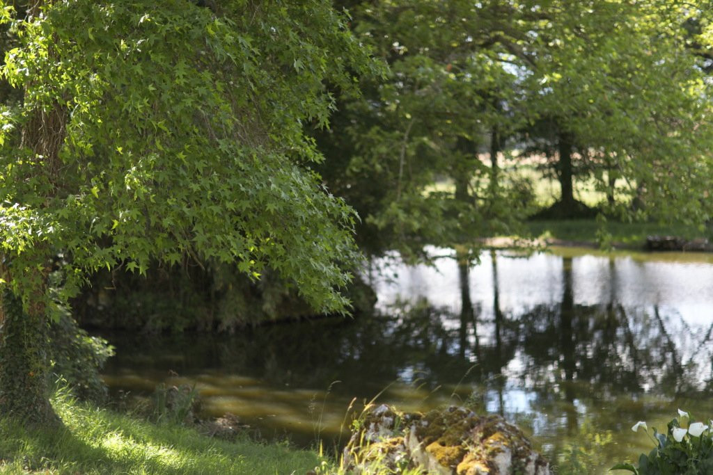 Chateau de Bresse sur Grosne主图