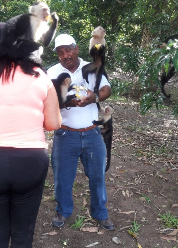 Ricky Ricardo Tours & Travels-彭塔雷纳斯必去景点