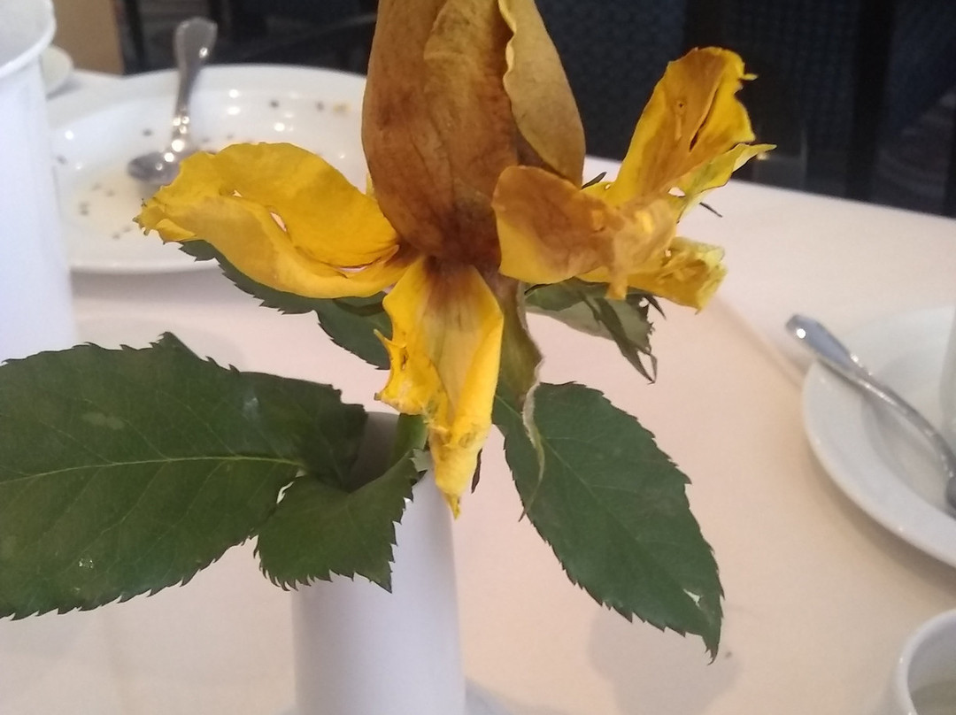 HKK Hotel Wernigerode主图
