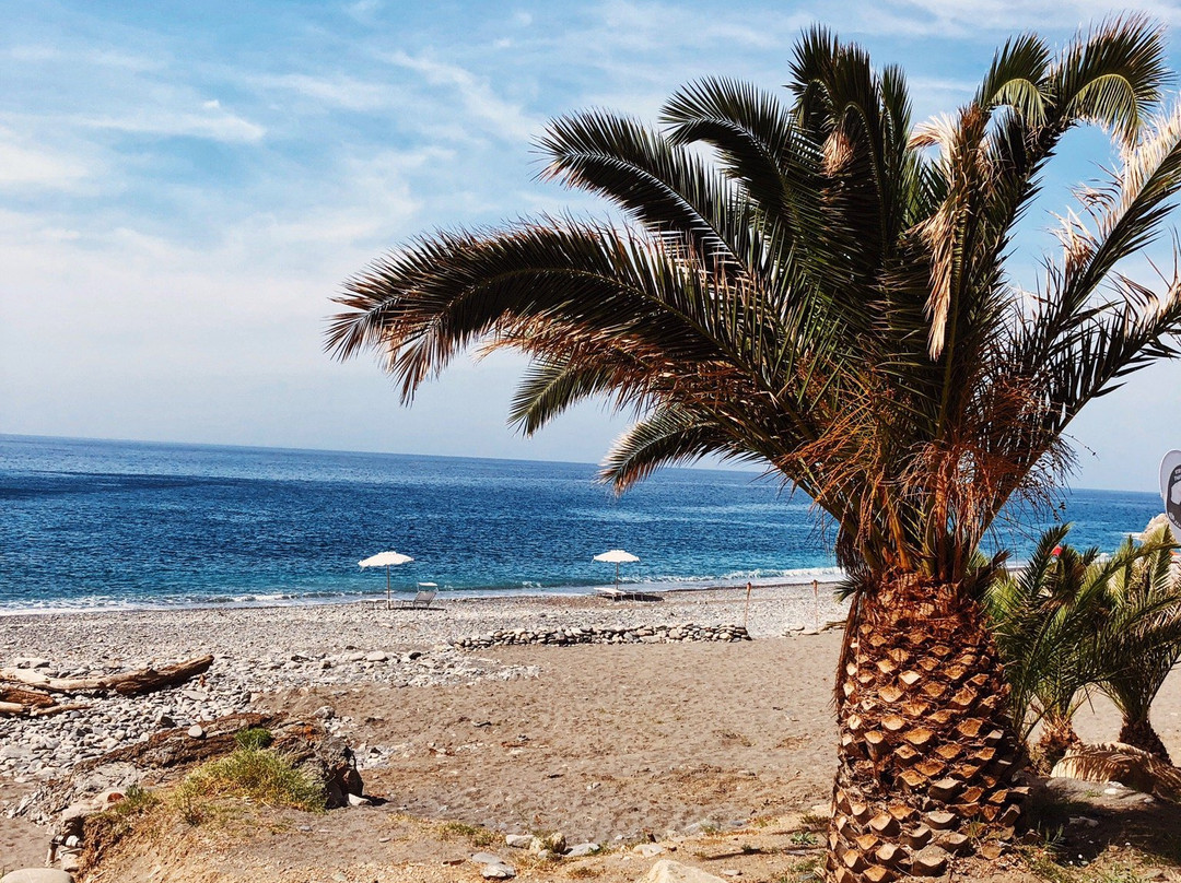 Spiaggia di Palombaia景点图片