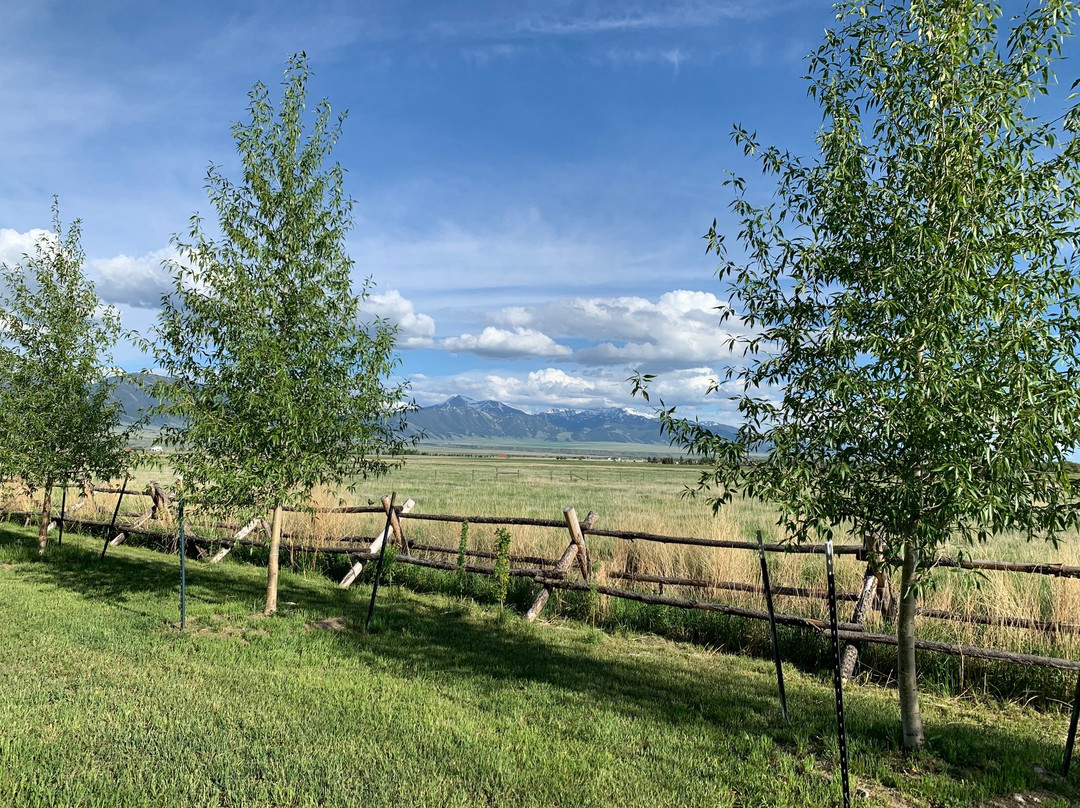 McAllister Inn & Lodging主图