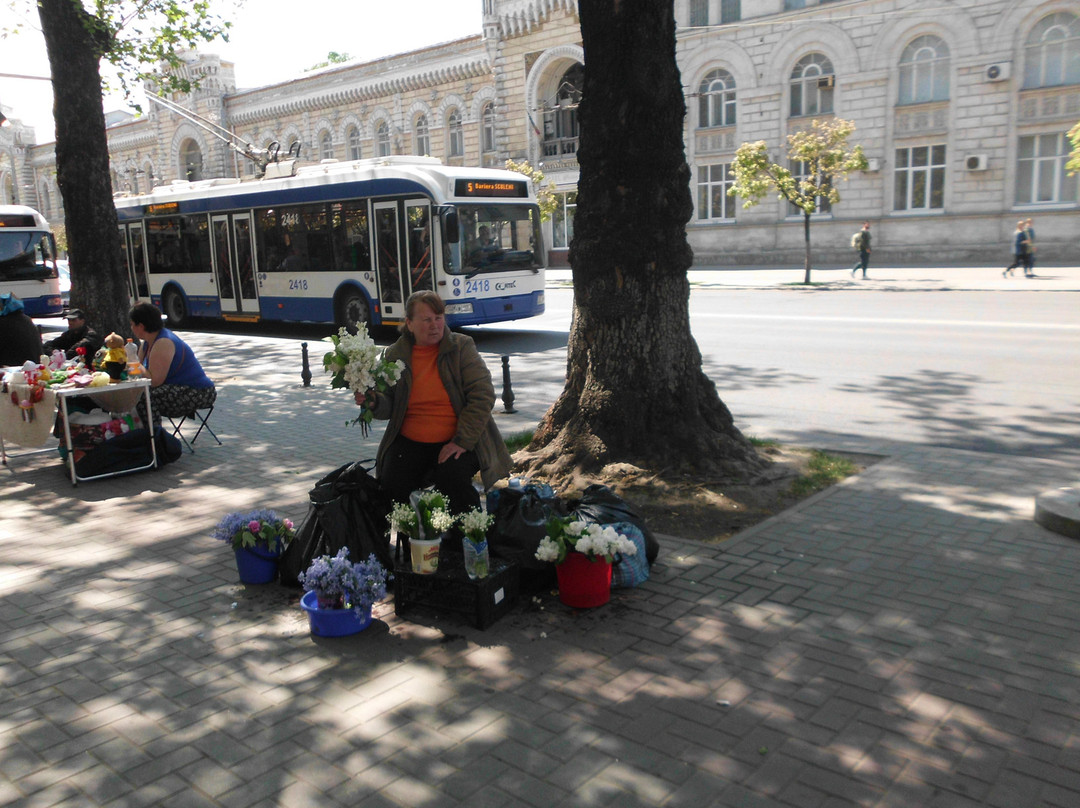 周末精品酒店主图