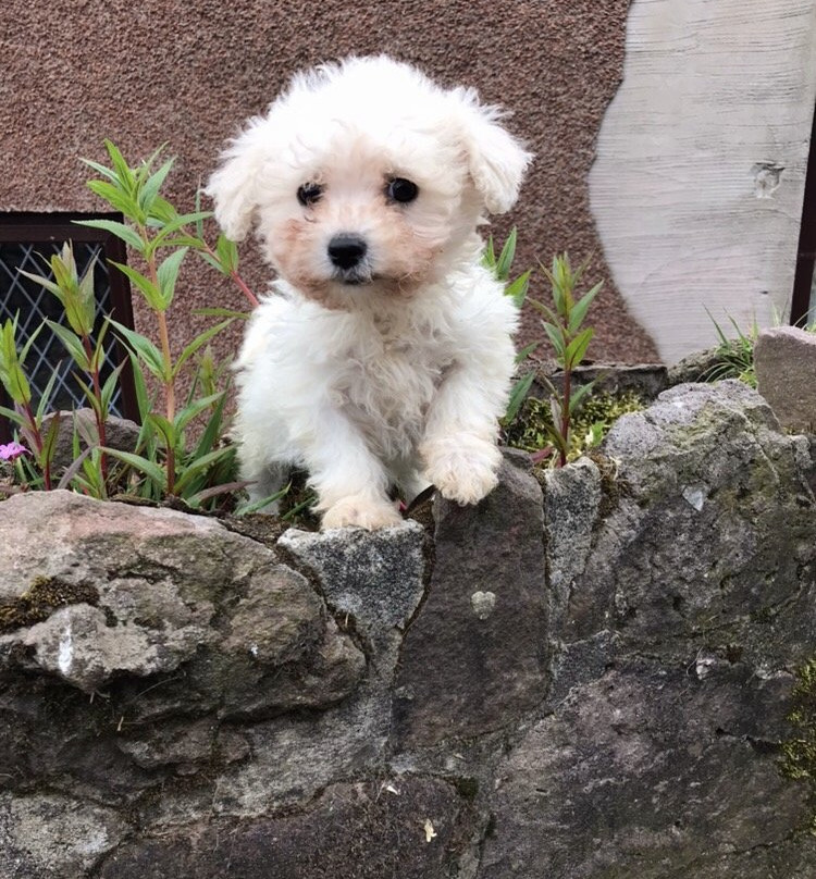 彭特利马术酒店主图