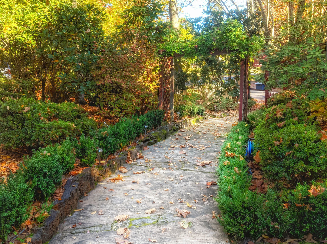 Kubba Roonga Guesthouse - Boutique Luxury Spa Retreat & Gardens主图