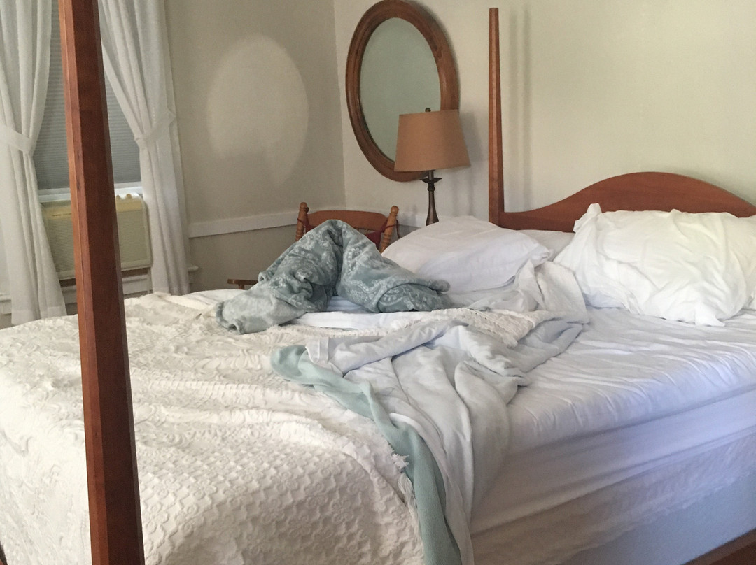 The Market Street Inn主图