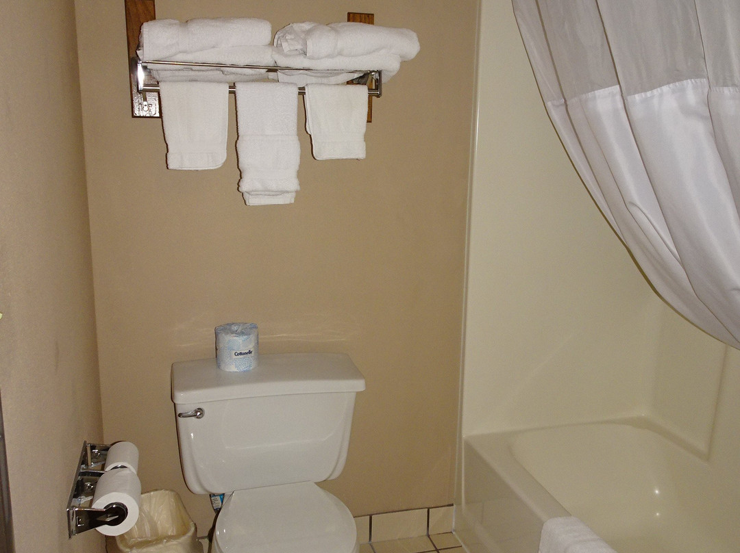 Quality Inn & Suites主图