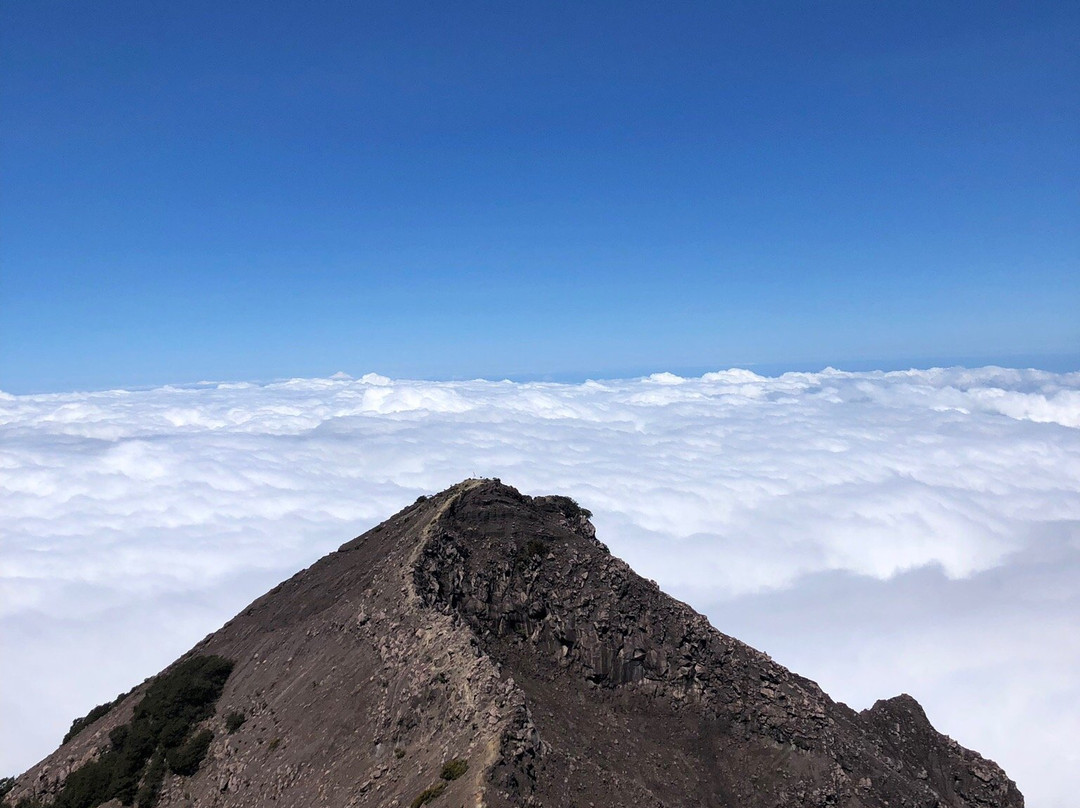 Open Trip Menjangan Tabuhan-巴纽旺宣必去景点