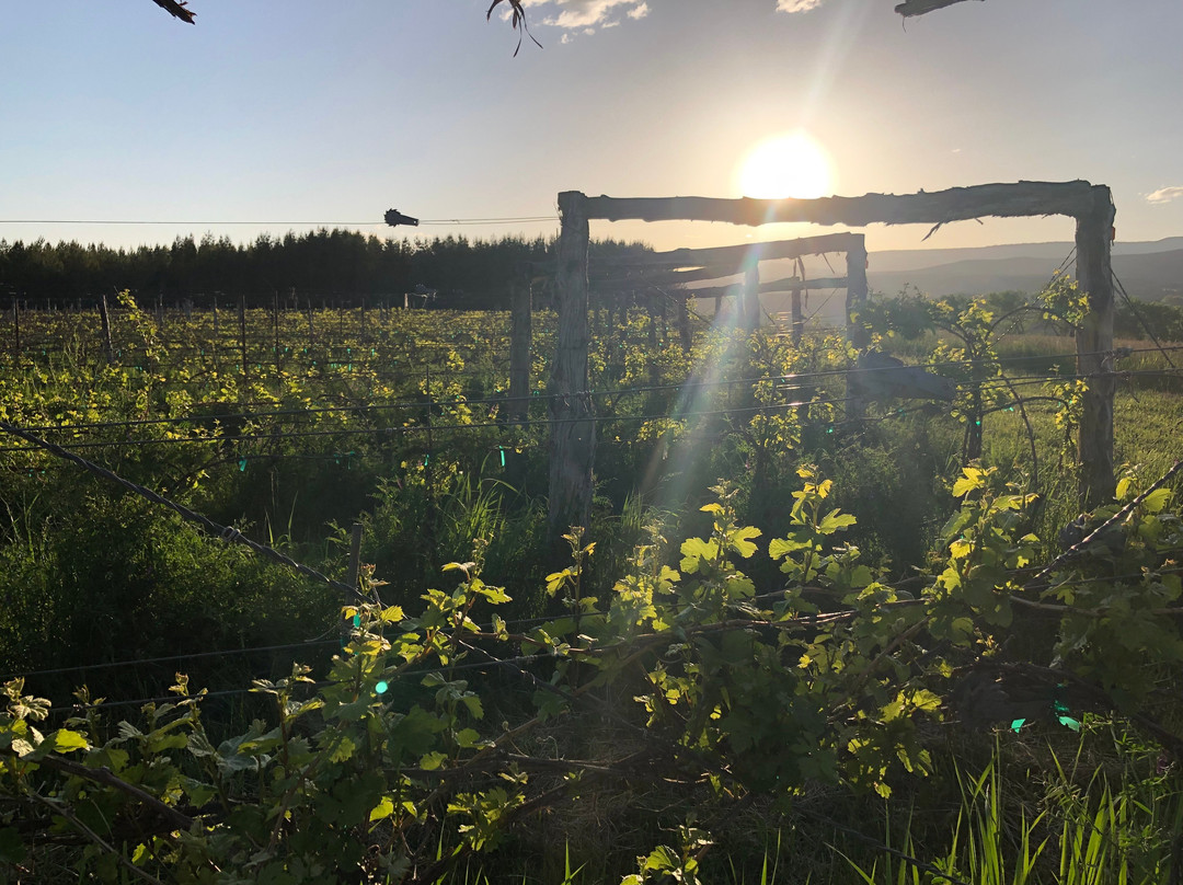 Agape Farm & Retreat主图