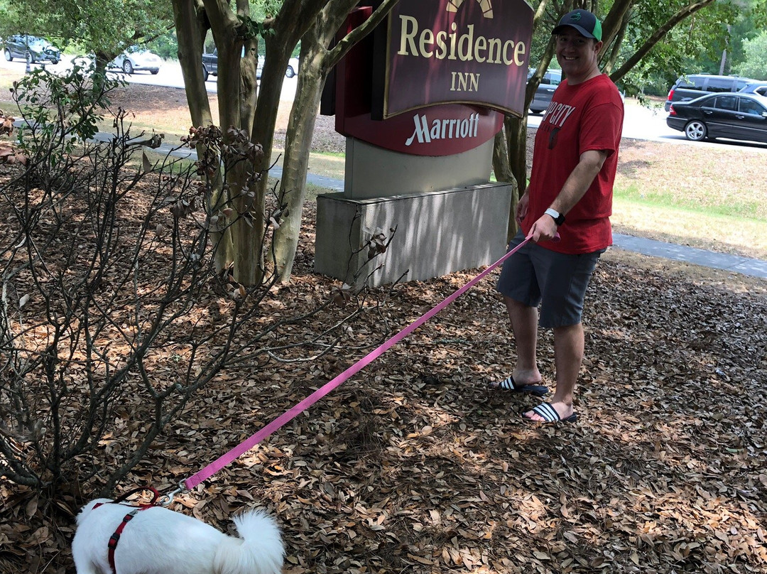 Residence Inn by Marriott Charleston Mt. Pleasant主图