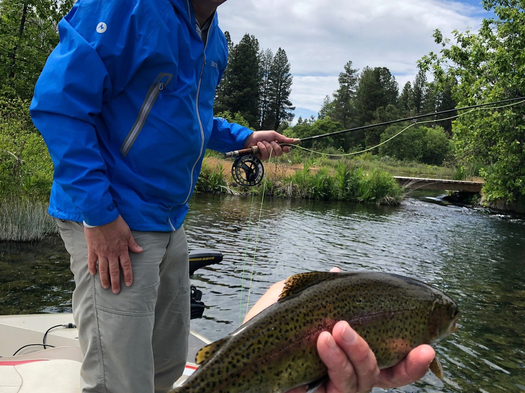 Reel Adventures Guide-雷丁必去景点