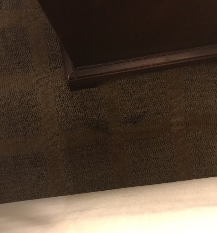 Knights Inn Bridgeport/Frankenmuth主图