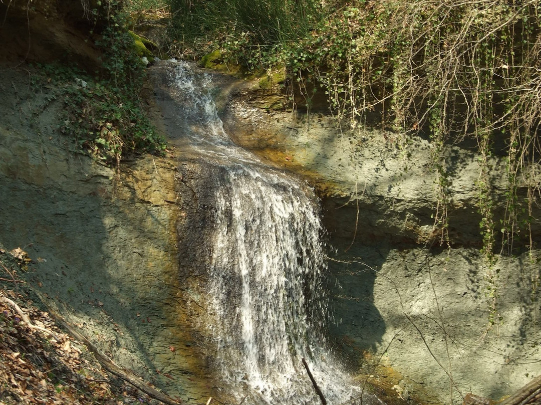 Treznea Waterfall景点图片