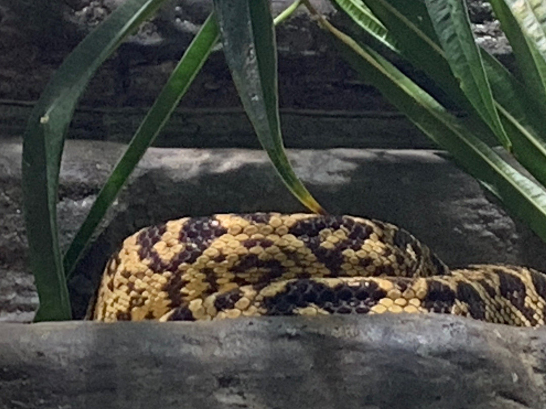 Oslo Reptile Park景点图片