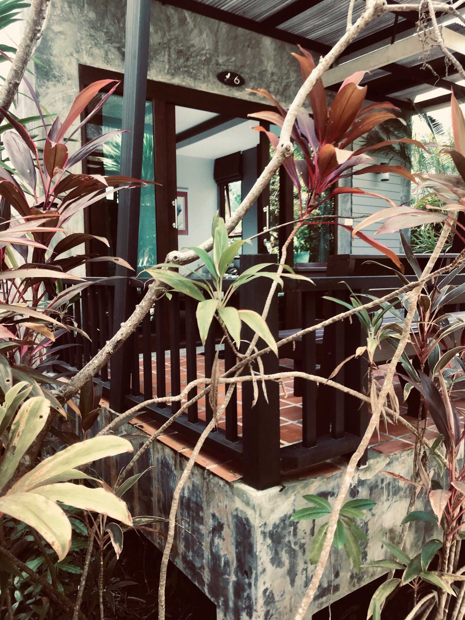 Dreamville Koh Phangan-官方