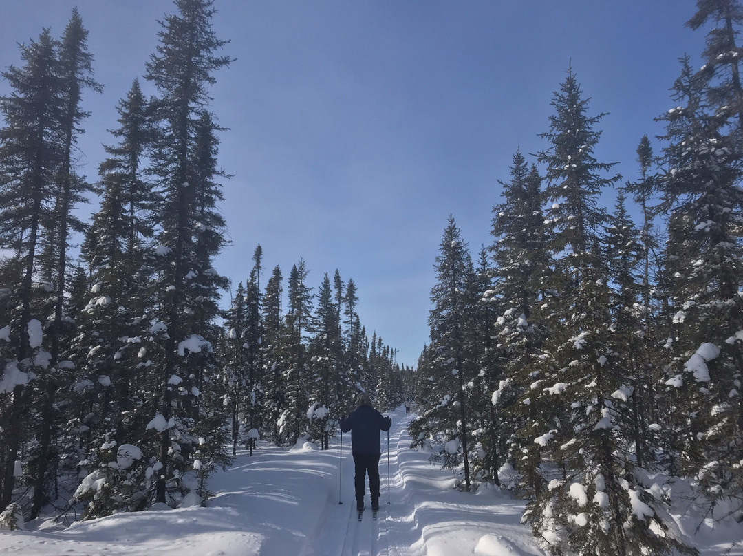 Flathorn - Gegoka Cross Country Ski Trails-Isabella必去景点