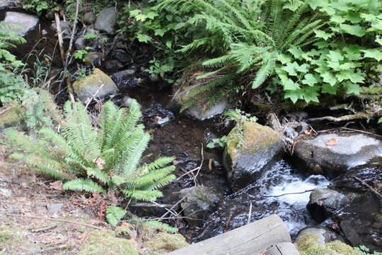 Hole-in-the-Wall Falls-Cascade Locks必去景点