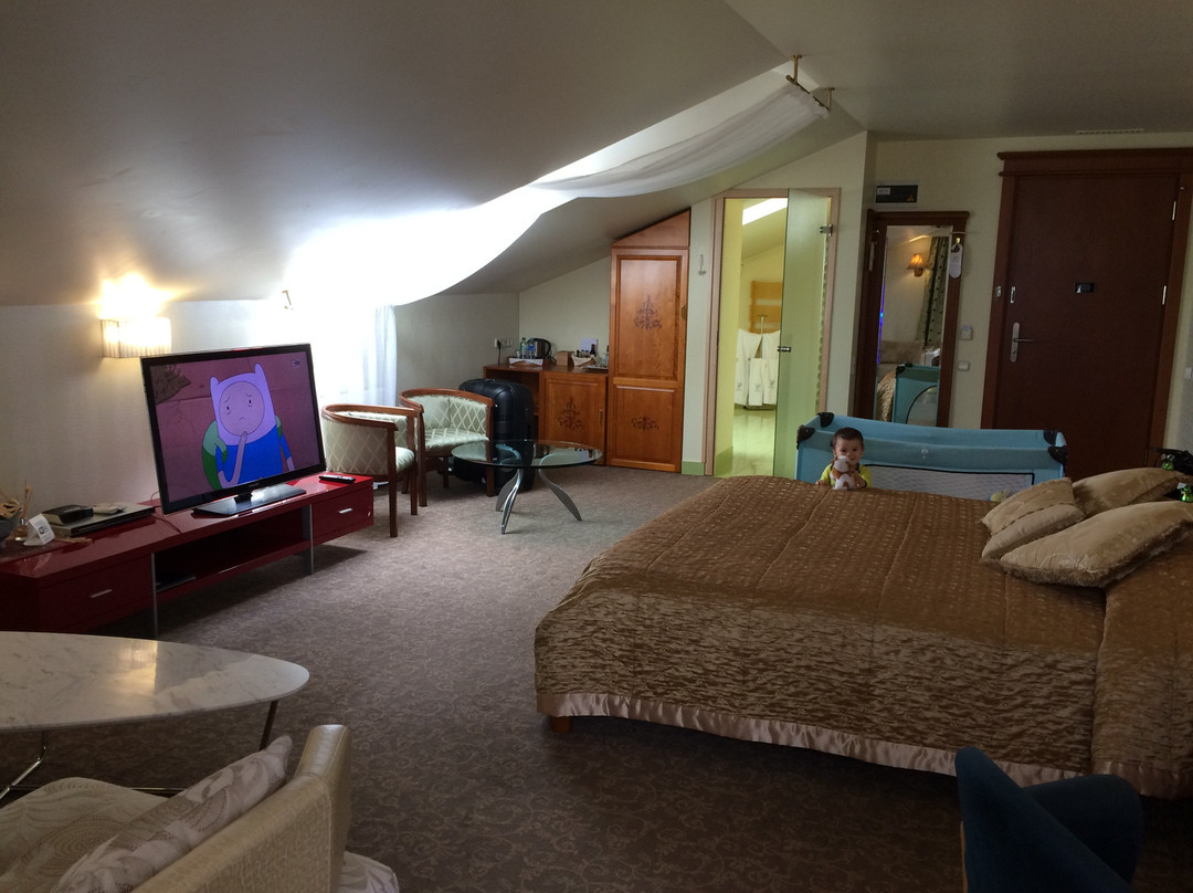 Pazaislis Park Hotel主图