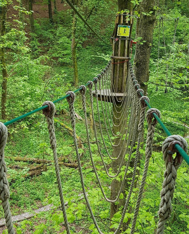 Go Ape Buxton-巴克斯顿必去景点