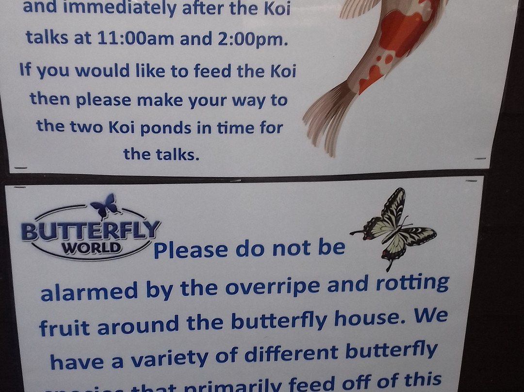 Butterfly World and Fountain World-Wootton必去景点