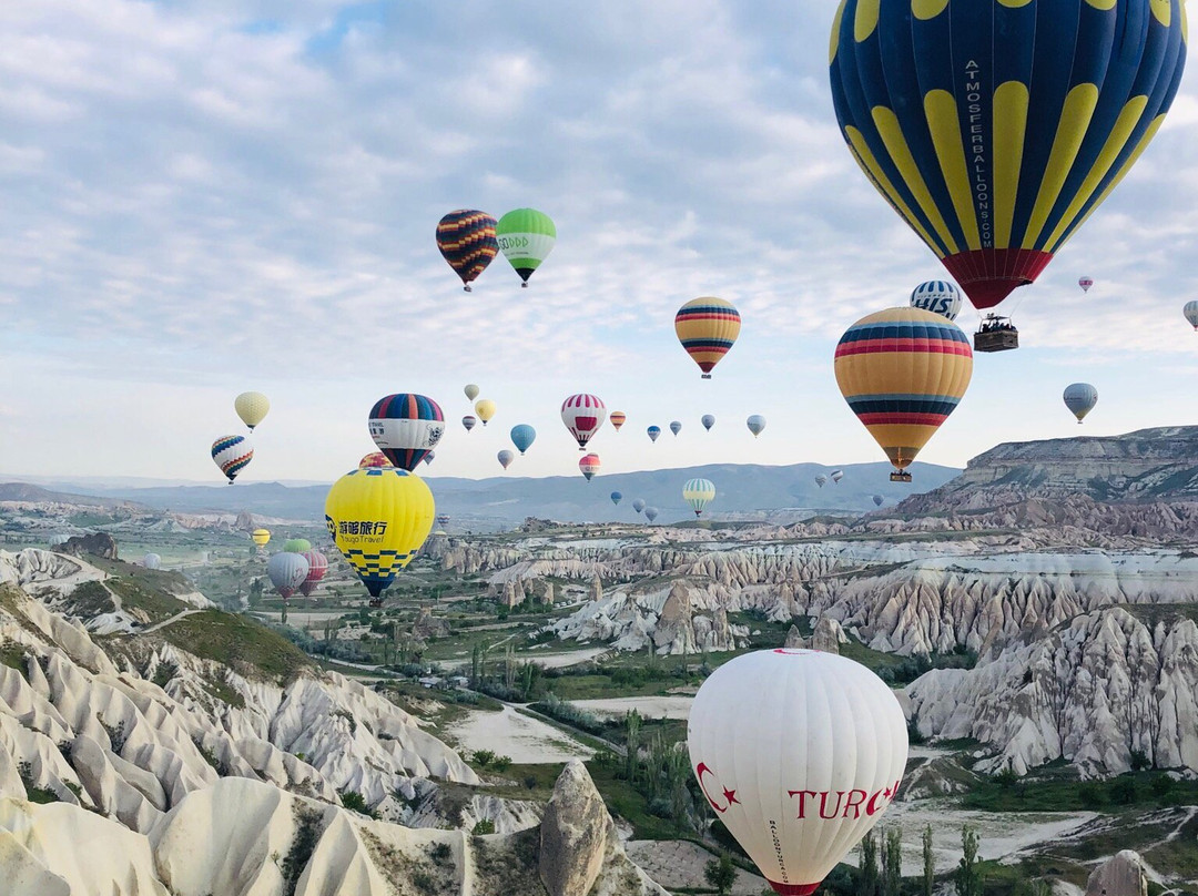 Butterfly Balloons景点图片