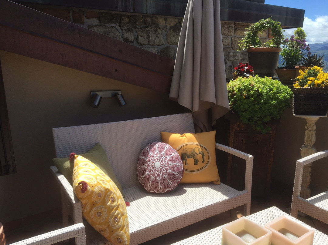 B&B Balsimelli12主图