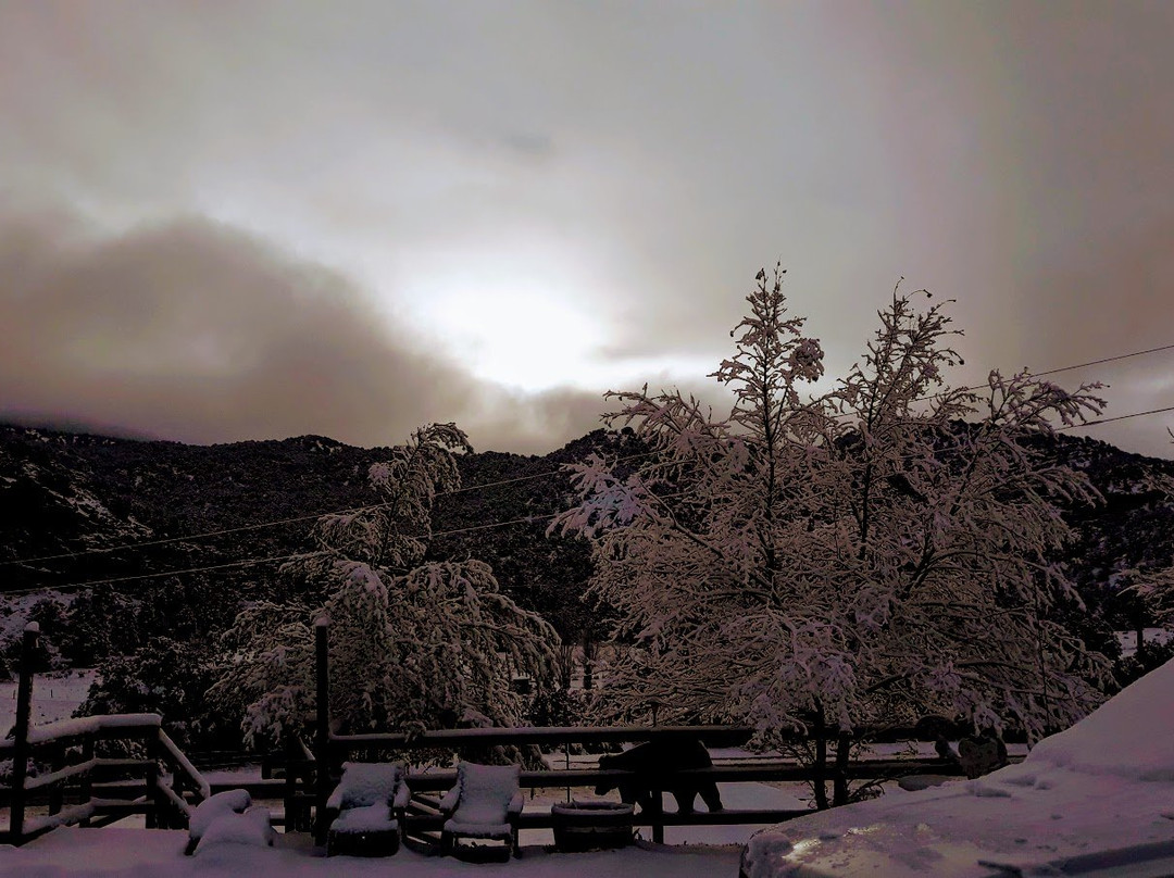 Black Bear RV Park & Resort主图